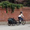 Przyczepka rowerowa wielofunkcyjna na dwa miejsca Thule Chariot Cab – ciemnoszara
