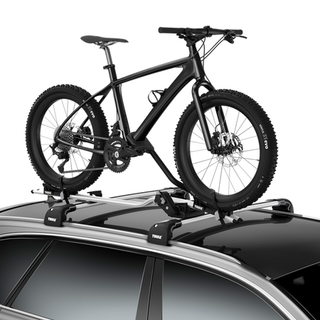 Zestaw adapterów do fatbike'ów Thule ProRide