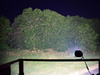 Lampa robocza LED Lazer Lamps Utility-80 Gen2 — uchwyt Slimline