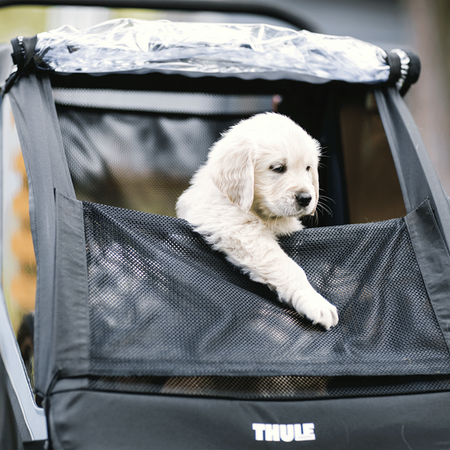 Zestaw do przyczepki dla psa Thule Courier Dog Trailer Kit