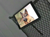 Uchwyt na tablet James Baroud