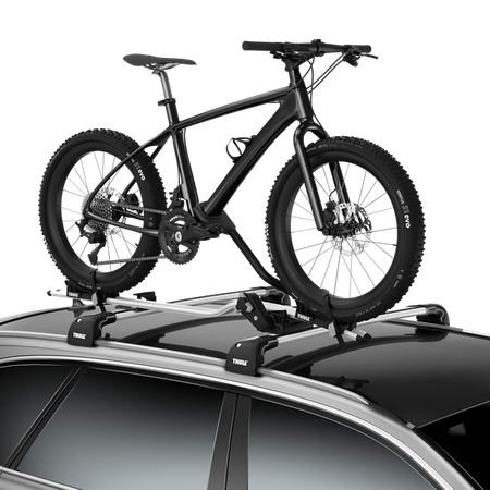 Zestaw adapterów do fatbike'ów Thule ProRide